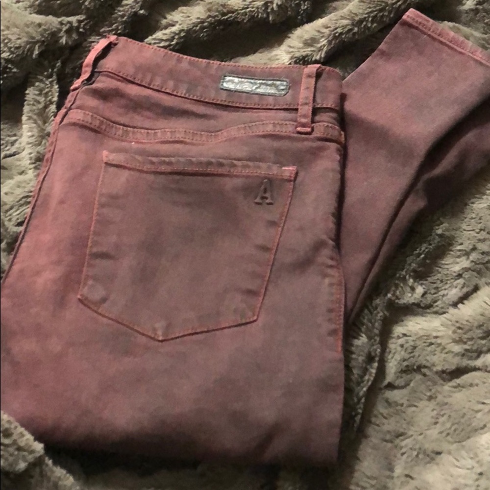 Articles of society pants